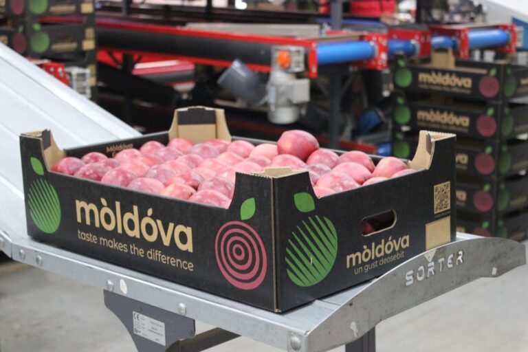 India Opens Its Market to Moldovan Apples